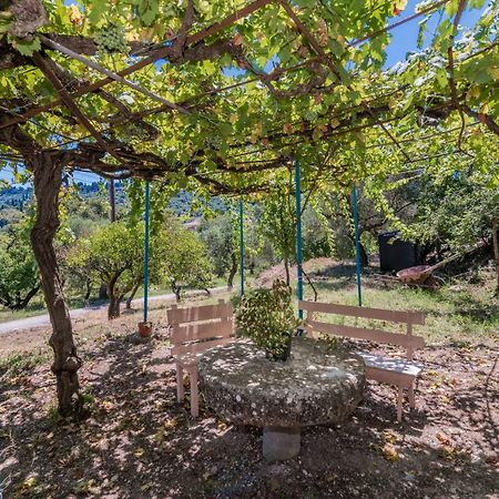 Amalia Country House Ano Yerakarion Exterior photo